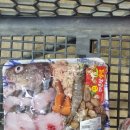 럭키식자재할인마트 | 내돈내산 금촌역 중앙식자재할인마트 대구알 밀키트 후기