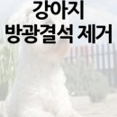 동물병원예지 이미지