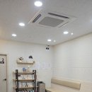 주니핸즈 이미지