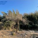 광석면 사월1리마을 이미지