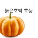 호박 이미지