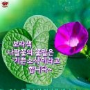 8월15일 (화요일) 출석부 이미지