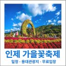 희망의심포니-인제 정기공연 | 인제가을꽃축제 2025 일정 용대관광지 체험 프로그램 무료입장