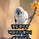 백년친구 Daum카페