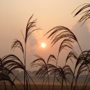 현주농장 이미지