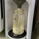 베베유카 이미지