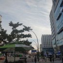 바른척추지압원
