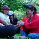 숲속통나무 이미지