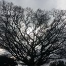 소길리경로당 이미지