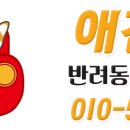 하남펫택시 이미지