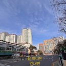 숙명음악학원 이미지