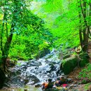 청계 맑은숲공원 이미지