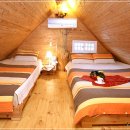 로그맨 하우스 이미지