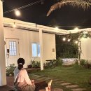 제주달로와 | 제주도풀빌라 제주감성숙소 달로와 성산 독채 펜션 추천