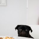 힛더핏 영통점 이미지