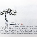사는동안꽃처럼 이미지