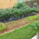 뉴전원공인중개사사무소 이미지