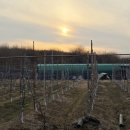 동해시-58 | 농업인인 2년차, 청년창업농 필수교육 수강신청 '광클' 후기 (feat. 사과나무 동해방지 페인트칠 완료!)