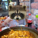 여리네닭갈비 이미지