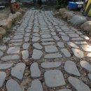 내원자동차야영장 이미지