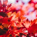 섬물 - 서귀포시 신평로 11 | 섬물