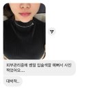 로지브로우