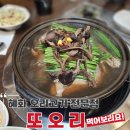 혜화동 오리 요리 전문점! 대학로맛집 또오리 오리능이백숙 후기