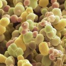 바른마디의원 이미지