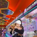 쌈바플스방 이미지