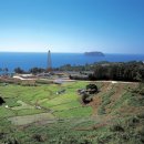 덴앤델리조트 이미지