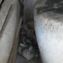 점말농장 이미지