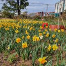 테마정원 이미지