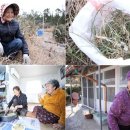 군도10호 이미지