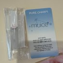 싹쓸이 | 성수 3월 팝업스토어 추천|레인메이커스, 클리어디어, 피나, 웰라쥬 본품 싹쓸이 후기