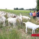 박주성농장 이미지