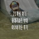 아쿠아펜션 - 서산시 호리1길 174 | 21개월 아기와 롯데리조트 부여 아쿠아가든 후기｜준비물·이용방법