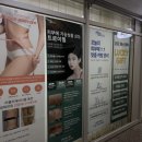 상남동292 이미지