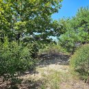 삼각산 누리길 이미지