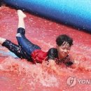 토마토 수영장 이미지