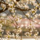 반곡지마을 이미지