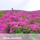 일림산 한치재 주차장 화장실 네이버블로그