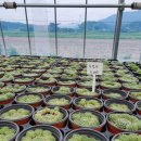 용설농장 이미지