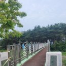 마리장풍숲 이미지