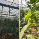 창용농장 이미지