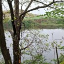 소룡농장 이미지