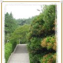 금련산청소년수련원 이미지