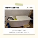 상아건강메디칼 | 인천 웨딩관리 누워서하는 다이어트 더마름다이어트 인천구월점 운동없이 체지방만 쏙!