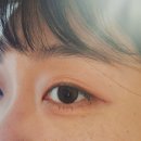 [✨️💜]서울-송도 봄꽃 나들이로 주말 체크인 완료🌸