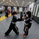 코리아 합기도 이미지