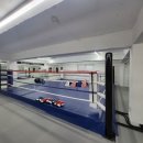 위너 복싱 이미지